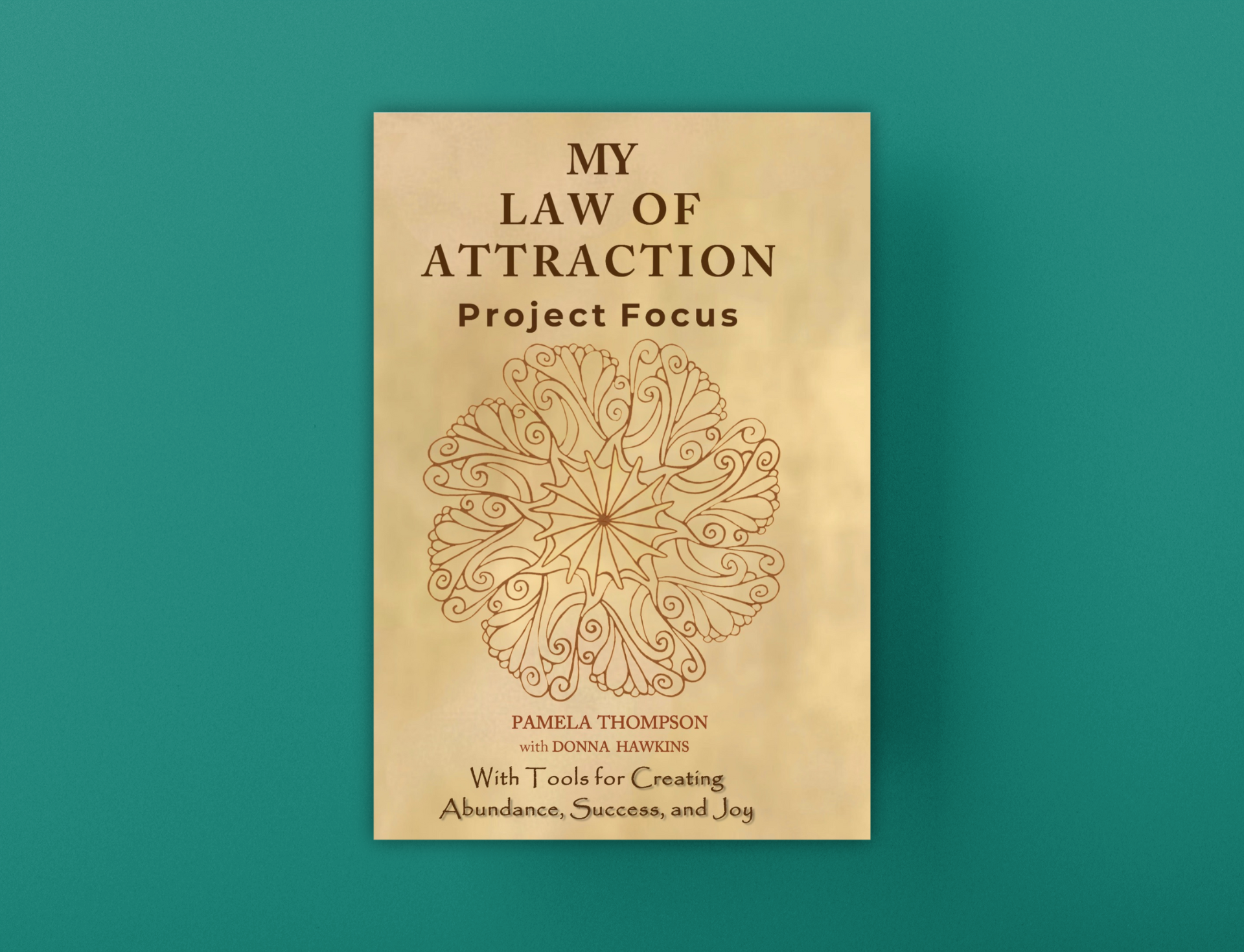 My Law of Attraction Project Focus: With Tools for Creating Abundance, Success, and Joy Paperback